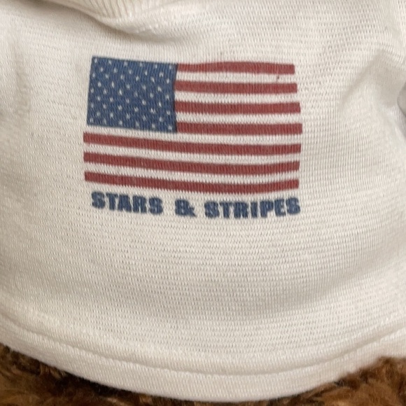 VINTAGE 2000 GUND STAR AND STRIPES WISH BEAR Brown Shaggy STUFFED ANIMAL PLUSH - Picture 7 of 10